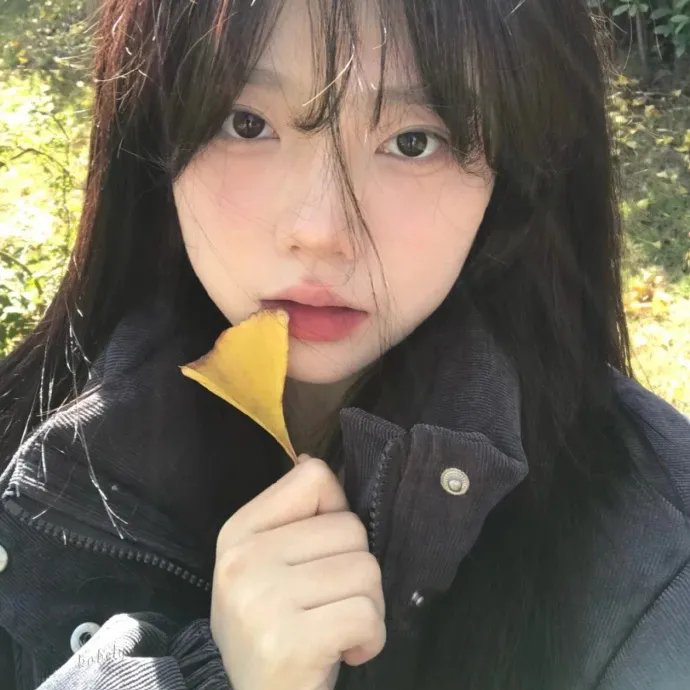 惜花芷